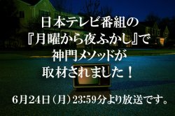 日本テレビの番組「月曜から夜ふかし」に取材されました！