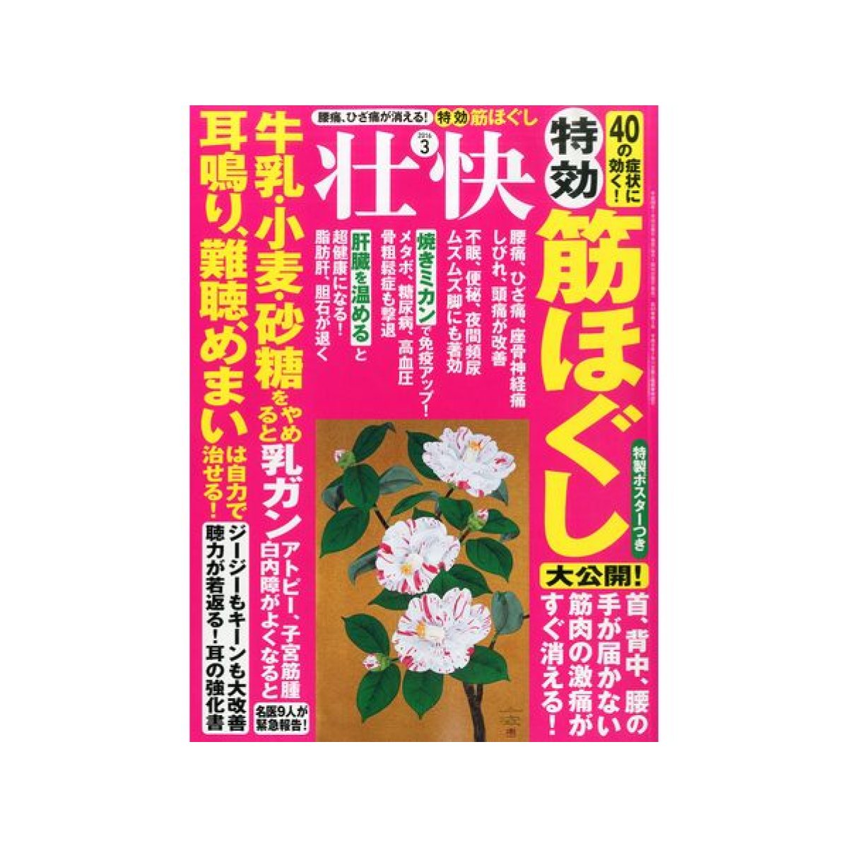 画像1: 壮快（2016年3月号）